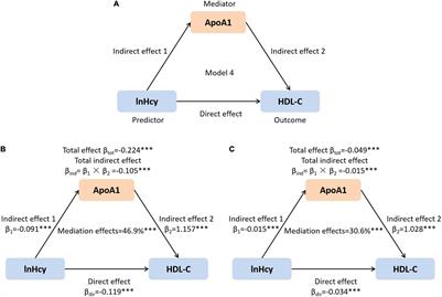 Plasma Homocysteine Level Is Independently Associated With Conventional Atherogenic Lipid Profile and Remnant Cholesterol in Adults
